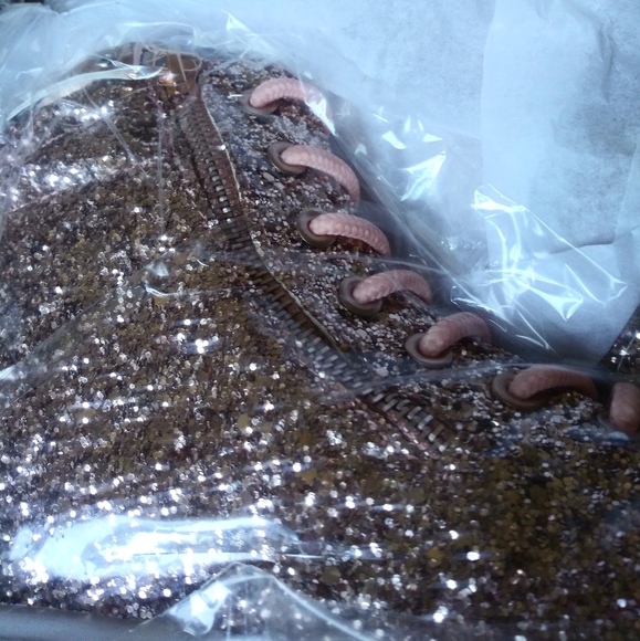 Rose Gold High Fashion Women's Shoes*Size10 - Picture 5 of 8